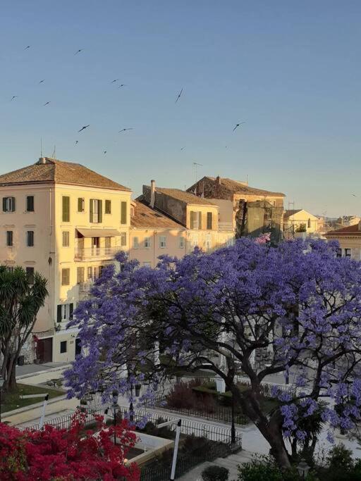 Old Town Corfu Romantic Studio Manto Nymfes Διαμέρισμα Εξωτερικό φωτογραφία
