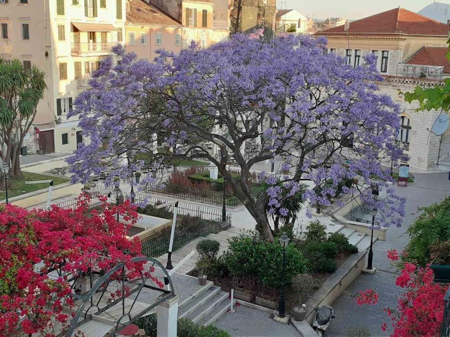 Old Town Corfu Romantic Studio Manto Nymfes Διαμέρισμα Εξωτερικό φωτογραφία