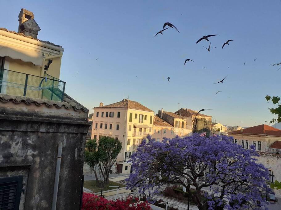 Old Town Corfu Romantic Studio Manto Nymfes Διαμέρισμα Εξωτερικό φωτογραφία